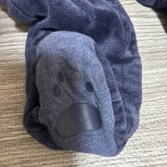 GAPの画像
