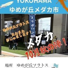 ゆめが丘メダカ市　開催〜❗️ めだか販売イベント