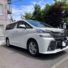 白　ハイブリッド