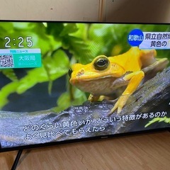 【2022年】Hisense 40V NEOエンジン🌸搭載 高画質液晶テレビの画像