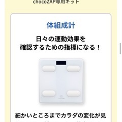 未開封☆チョコザップ ハンディファンやタオルつきの画像