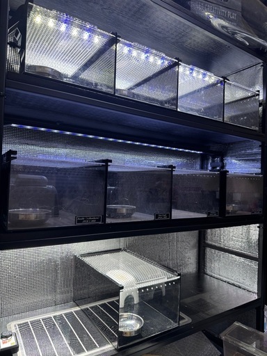 レプタイルボックス