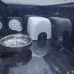 レプタイルボックスの画像