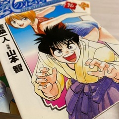 風の伝承者　全巻セットの画像