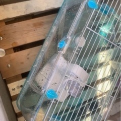 ハムスターケージの画像