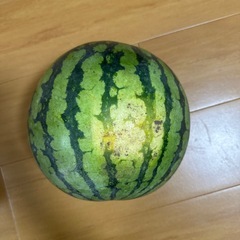 大玉スイカ　熊本県産❗️の画像