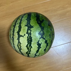 大玉スイカ　熊本県産❗️の画像