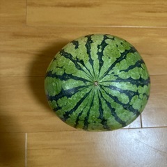 大玉スイカ　熊本県産❗️の画像