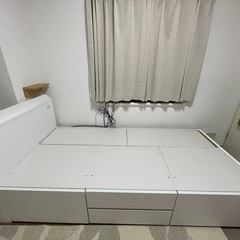 お譲り先決まりましたの画像