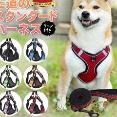 犬用ハーネスMサイズ　試着のみ　リード付きの画像