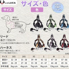 犬用ハーネスMサイズ　試着のみ　リード付きの画像
