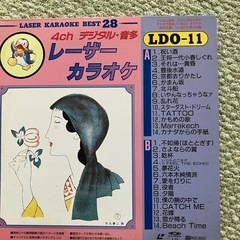 カラオケレーザーディスクの画像