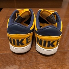 NIKE ターミネーター　ミシガン27cmの画像