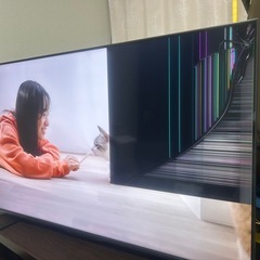 REGZA  
55Z570Lの画像