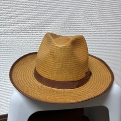 Brixton／男性用ハット／帽子／晩夏の画像