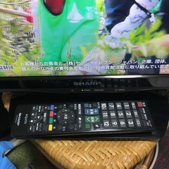2015年製19v型の画像