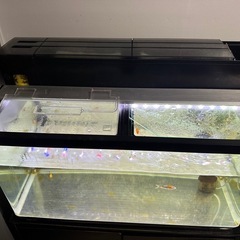 900水槽の画像