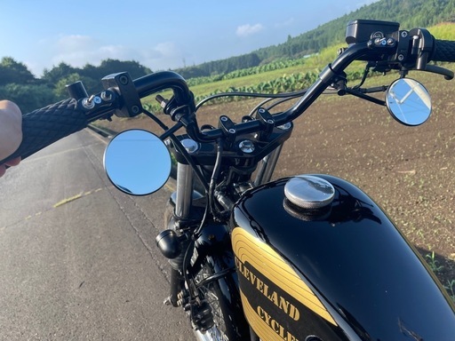 ヘイスト250 カスタム　新品部品多数あり。