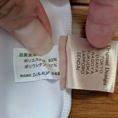 シルビア　サンバックフリル　レオタードの画像