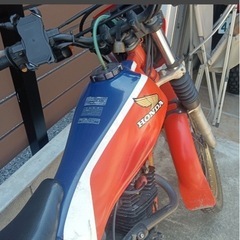 TLR200の画像