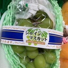 フルーツセットの画像