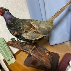 差し上げます:キジオブジェ　高さ60cmの画像