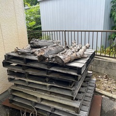 薪、焚き付け用、伐採木、焚き火
の画像
