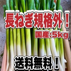 ネギ農家の機械一式セット販売！の画像