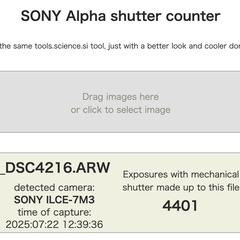 SONY α7III ボディ本体 動作良好 シャッター少 SDカード付の画像