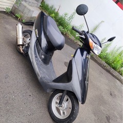 ホンダライブディオ AF34
の画像