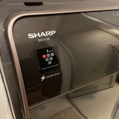 SHARPドラム式洗濯機2024年式の画像