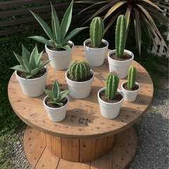 ケーブルドラム７８センチ（木目）の画像