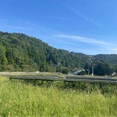 草刈り致します。お気軽にお問い合わせ下さい。