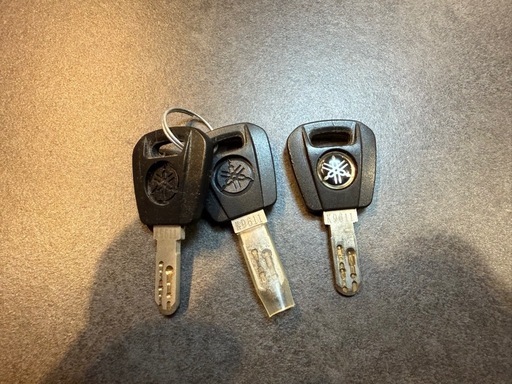 ヤマハ 電動自転車 2022年 パス バビー アン スーパー リヤチャイルドシート標準装備モデル YAMAHA 20インチ 15.4Ah 3段変速 オートライト PA20GGSB2J