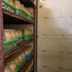 えのき栽培作業員の画像