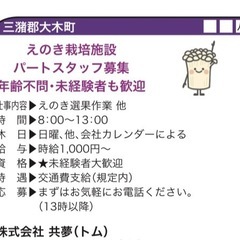 えのき栽培作業員の画像