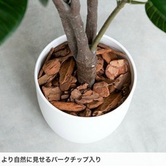 【美品】譲ります　フェイクグリーン　観葉植物の画像
