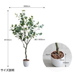 【美品】譲ります　フェイクグリーン　観葉植物の画像