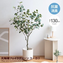 【美品】譲ります　フェイクグリーン　観葉植物の画像