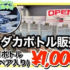 【メダカの寄り道】9月13日／品種のボトル販売再開いたします！の画像