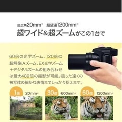 Panasonic 『LUMIX』DC-FZ85の画像