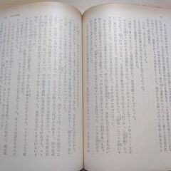 『骨肉の倫理』石川達三　角川文庫の画像