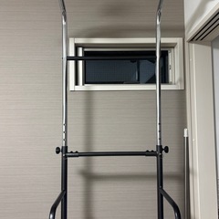 ぶら下がり健康機の画像