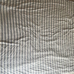 【最終値下げ】夏用掛け布団　ブランケット2枚　1人用の画像