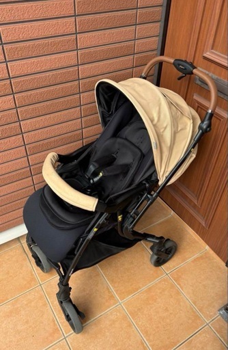 AB型ピジョンランフィリノン