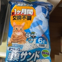 ペット用品　猫ちゃん用の画像