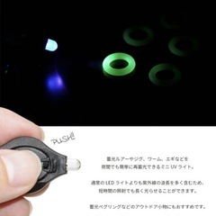 UVブラックライト2個セットの画像
