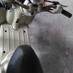 ②Vinoの画像