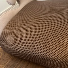【決まりました】ジュニアシートの画像