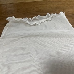 未使用
シースルートップスの画像